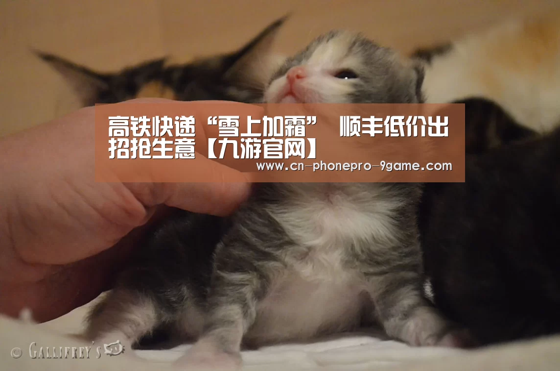 高铁快递“雪上加霜” 顺丰低价出招抢生意【九游官网】(图2) 九游官网