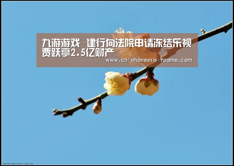 九游游戏-建行向法院申请冻结乐视贾跃亭2.5亿财产(图3) 九游APP下载