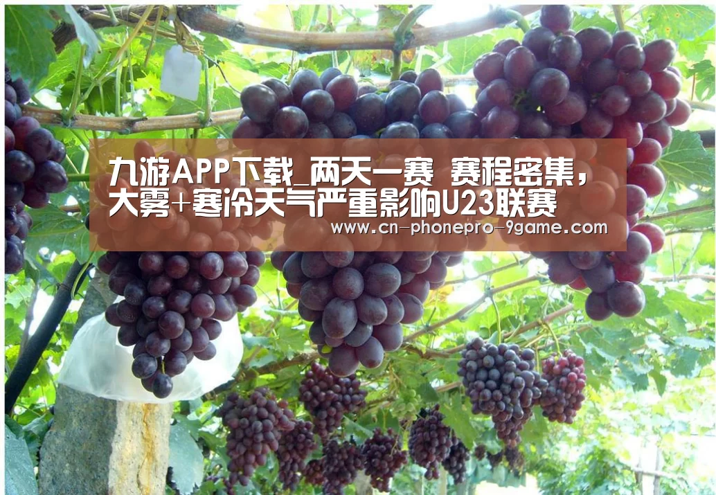 九游官网